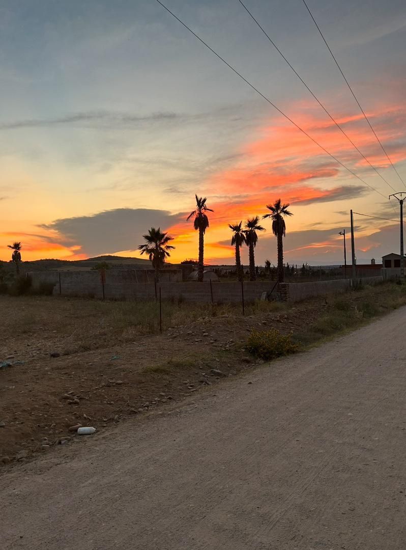 Vista exterior de Casa o xalet en venda en Alcaudete de la Jara amb Aire condicionat, Calefacció i Jardí privat
