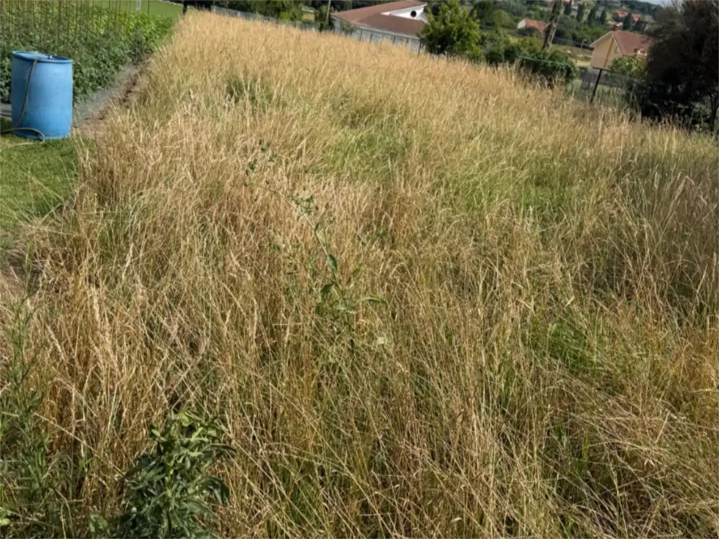 Urbanitzable en venda en Santa Cruz de Bezana