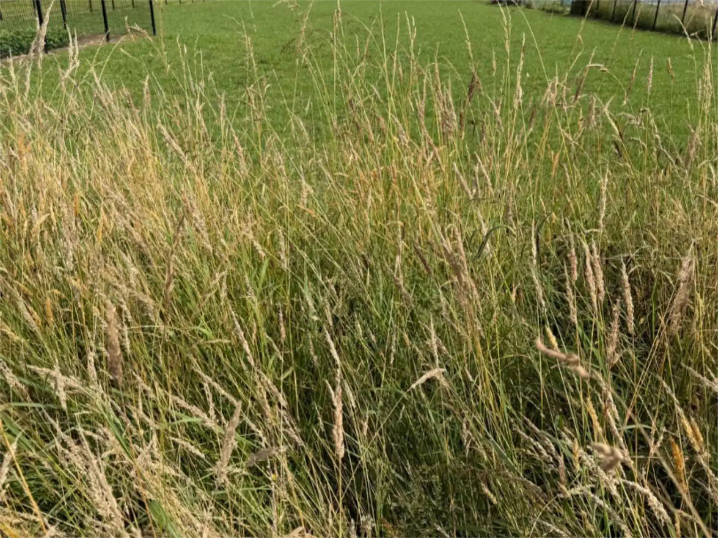 Jardí de Urbanitzable en venda en Santa Cruz de Bezana