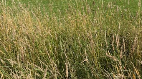 Constructible Land for sale in Calle Otero, 2, Bezana - Prezanes, Cantabria - image 3 Photo 3 of Constructible Land for sale in Calle Otero, 2, Bezana - Prezanes, Cantabria