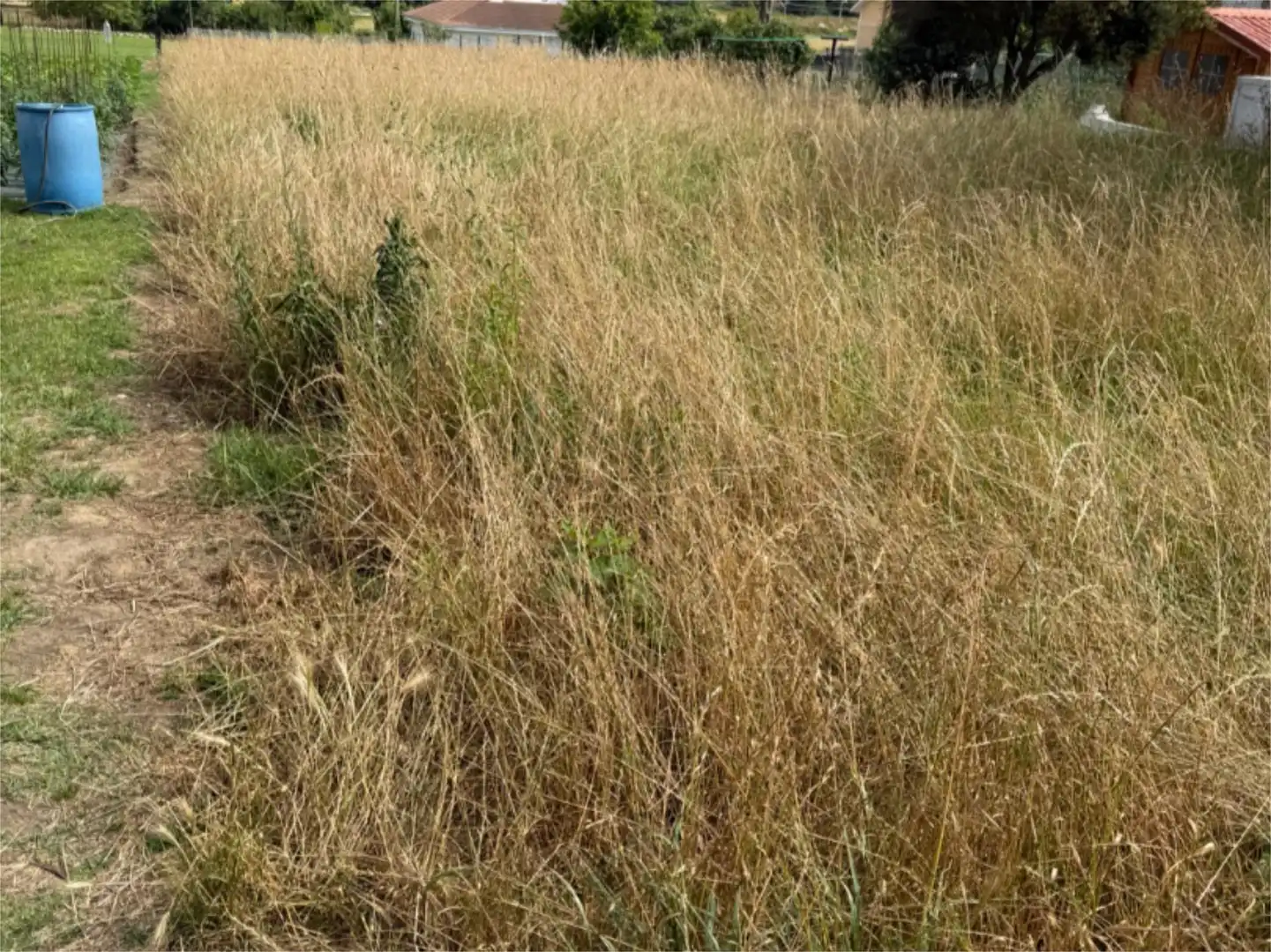 Urbanitzable en venda en Santa Cruz de Bezana
