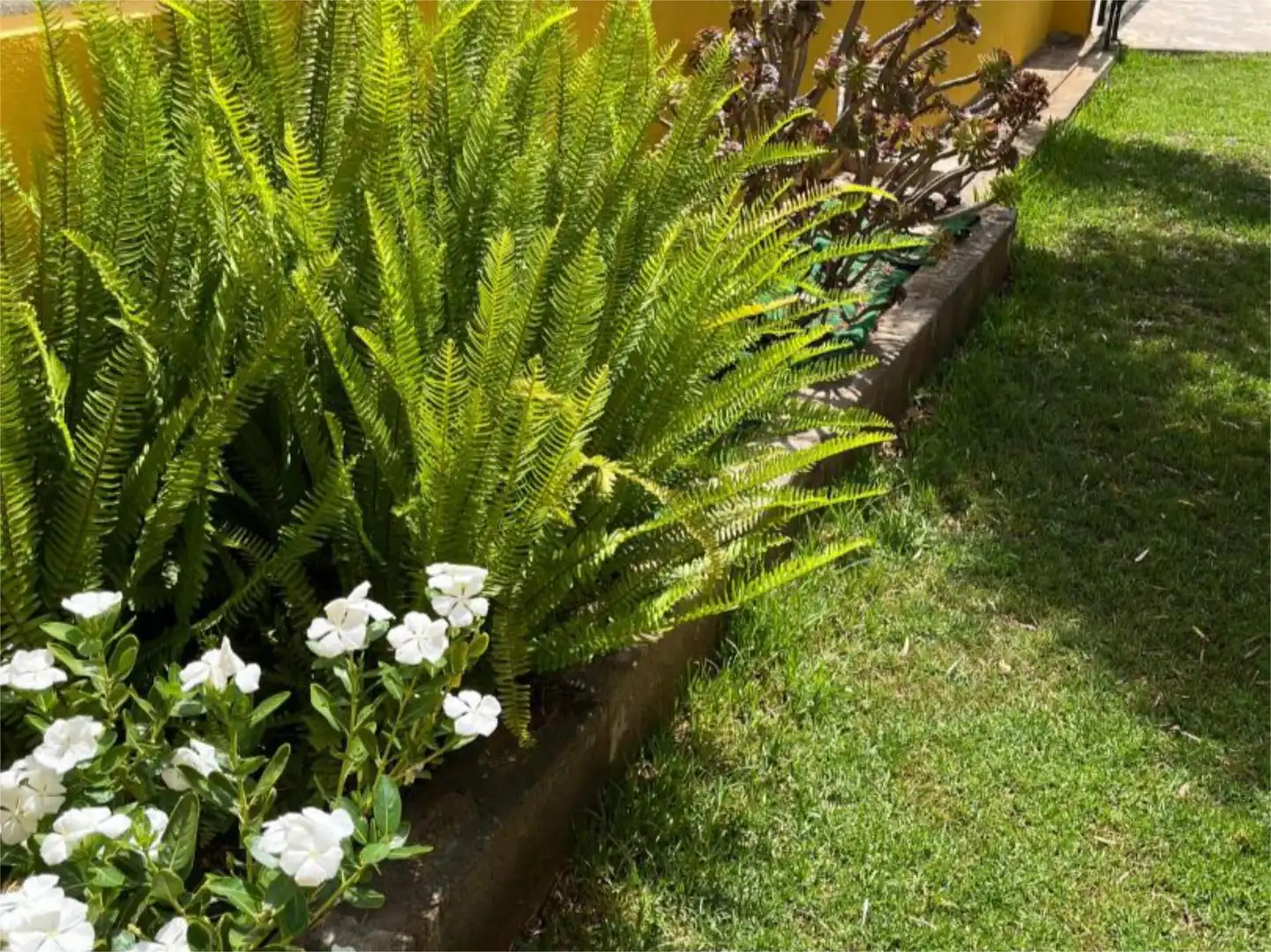 Flat for sale in Partida Fileta de Ramell, 112, El Grao Garden of Flat for sale in Castellón de la Plana / Castelló de la Plana with Air Conditioner, Terrace and Swimming Pool