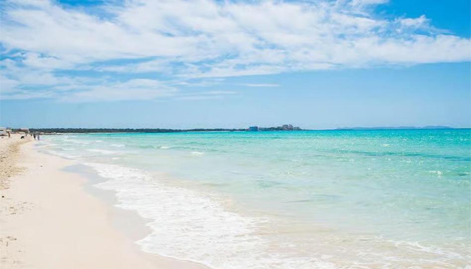 Flat to rent in Carrer de Neopàtria, 2, Les Maravelles, Illes Balears - image 1 Photo 1 of Flat to rent in Carrer de Neopàtria, 2, Les Maravelles, Illes Balears