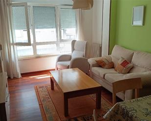 Living room of Flat to rent in Lugo Capital  with Heating, Parquet flooring and Storage room
