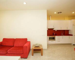 Living room of Flat to rent in Girona Capital  with Air Conditioner, Heating and Furnished