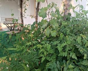 Garten von Wohnungen miete in Antequera mit Klimaanlage, Heizung und Privatgarten