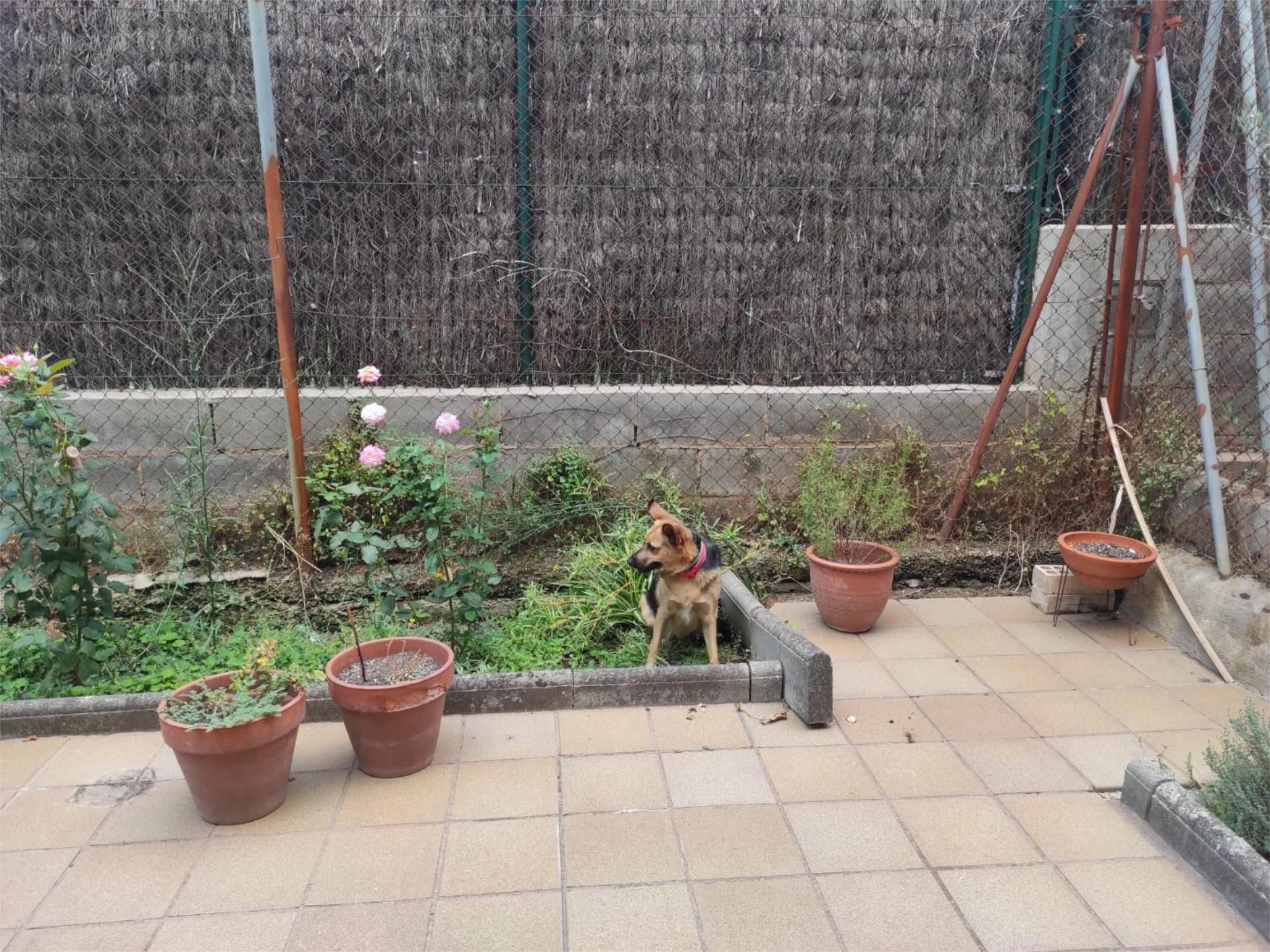 Garden of Single-family semi-detached to rent in Santpedor  with Air Conditioner, Terrace and Balcony
