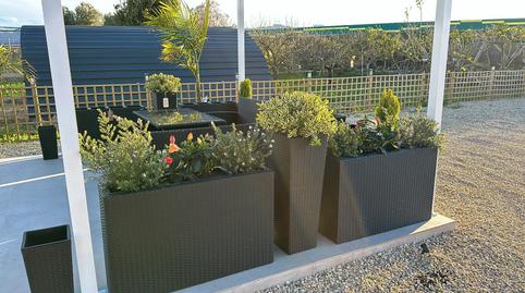 Foto 5 de Casa o xalet en venda a Plaça de la Verge, 57, Pueblo de Cullera, Cullera