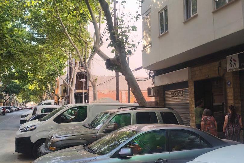 Flat for sale in Plaça de Miquel Dolç, 2, Son Canals, Palma de Mallorca - image 1 Photo 1 of Flat for sale in Plaça de Miquel Dolç, 2, Son Canals, Palma de Mallorca