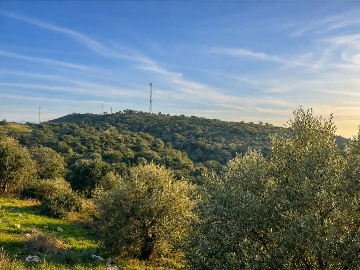 Flat for sale in Córdoba  with Air Conditioner, Private garden and Terrace