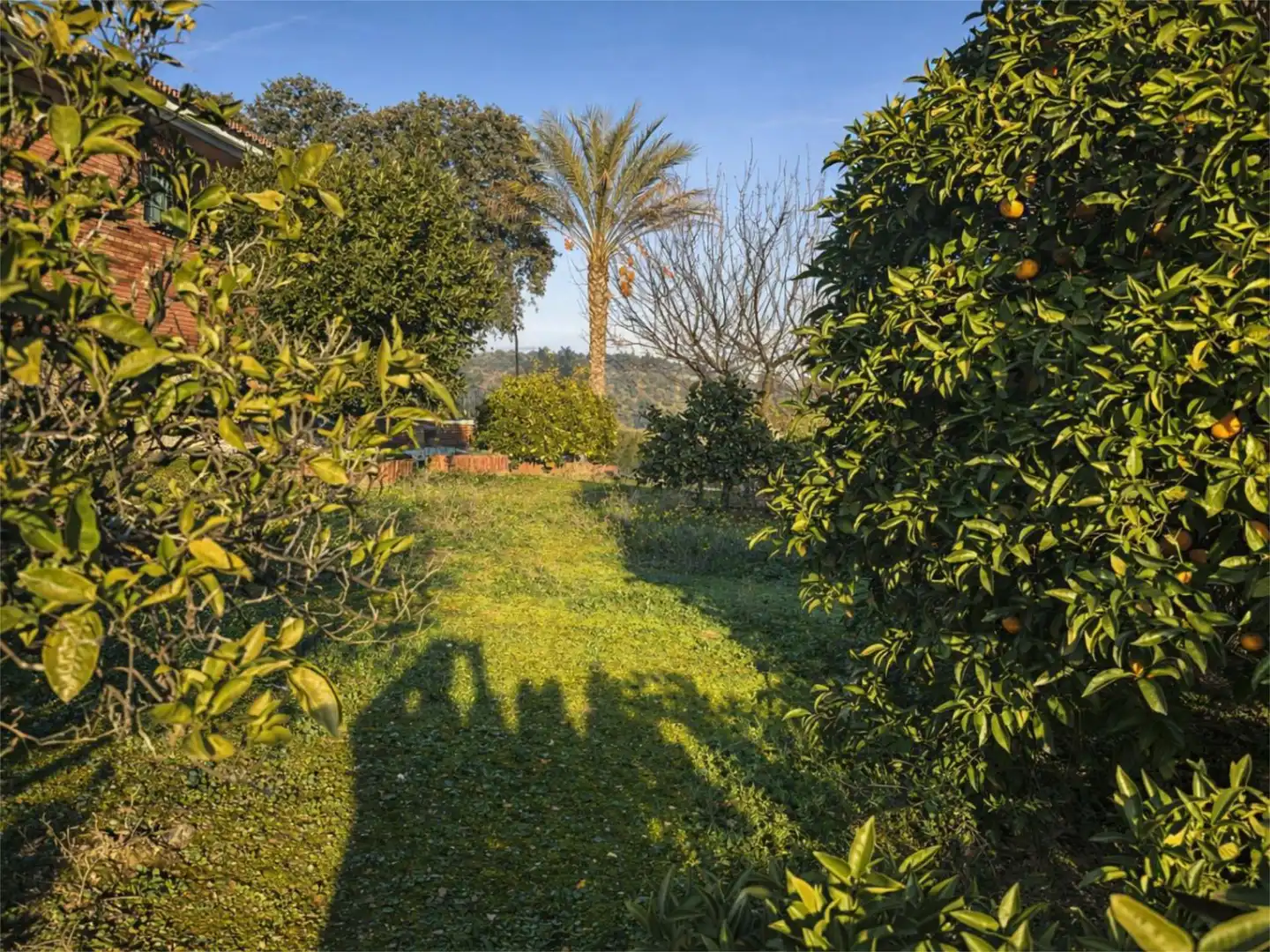 Flat for sale in Córdoba  with Air Conditioner, Private garden and Terrace