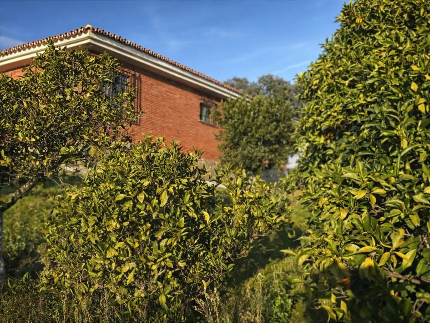 Garden of Flat for sale in Córdoba  with Air Conditioner, Private garden and Terrace
