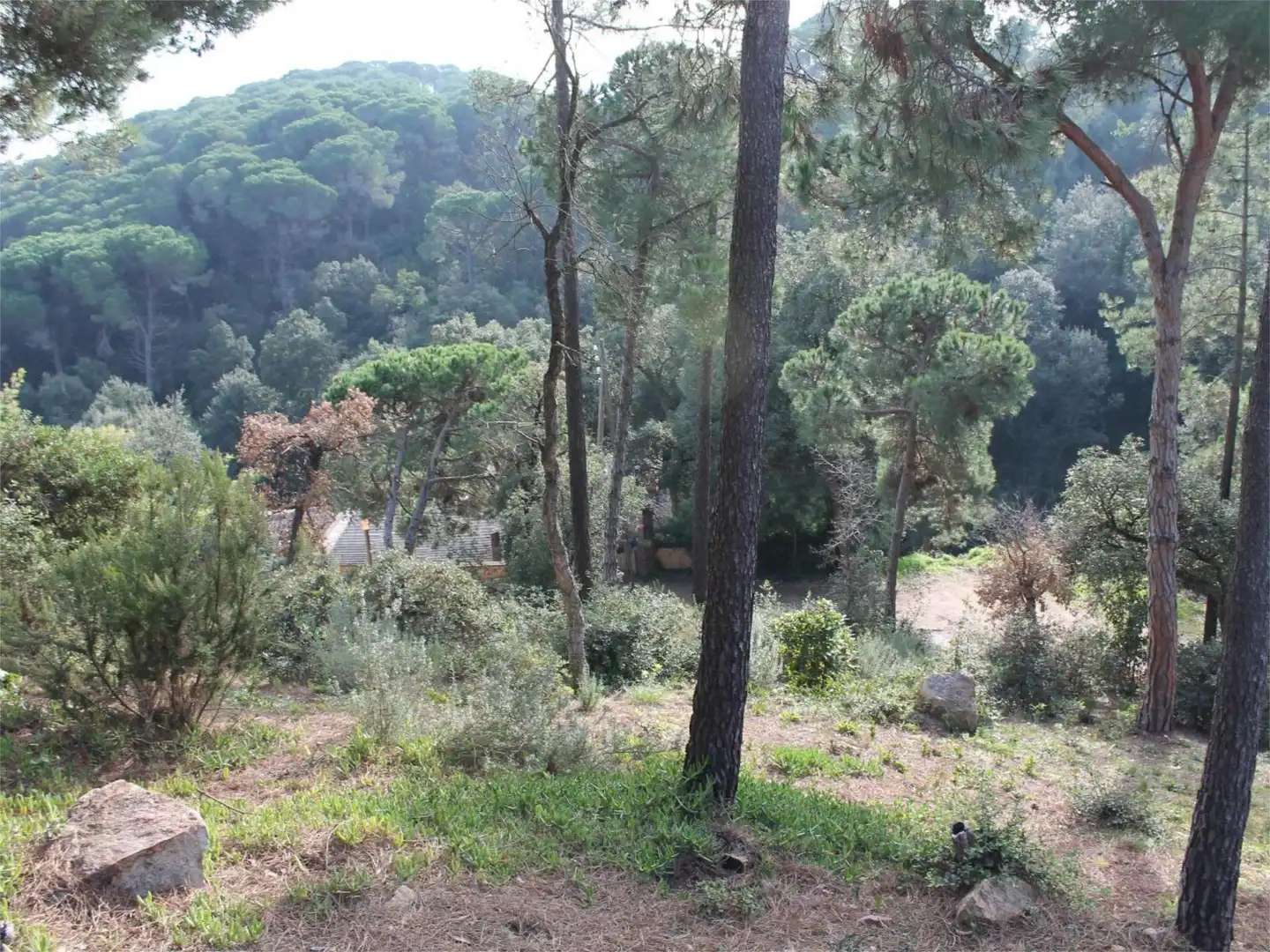 Flat for sale in Passatge Clavells, 3, Serra Brava Flat for sale in Lloret de Mar with Terrace and Balcony