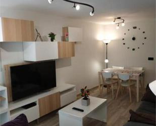 Living room of Flat to rent in  Madrid Capital  with Heating, Private garden and Terrace