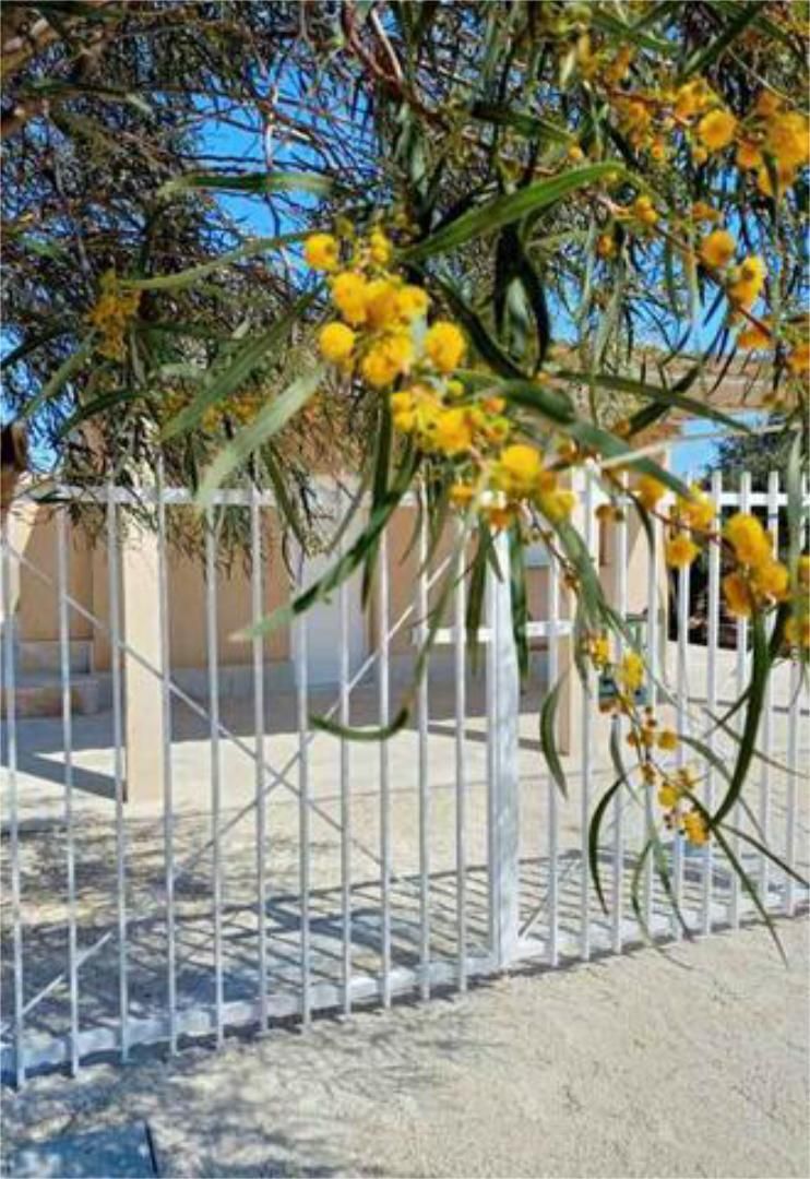 Jardí de Casa adosada en venda en Novelda amb Piscina