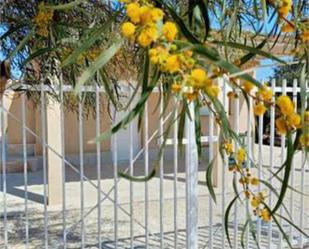 Garden of Single-family semi-detached for sale in Novelda  with Swimming Pool