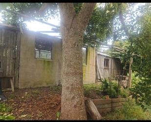 Vista exterior de Finca rústica en venda en Tacoronte