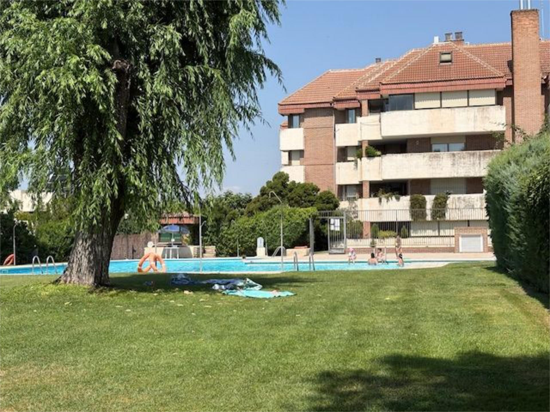 Swimming pool of Flat to rent in Las Rozas de Madrid  with Heating, Private garden and Parquet flooring