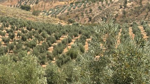 Foto 3 de No Urbanitzable en venda a Callejón de las Eras, 2, Cacín, Granada