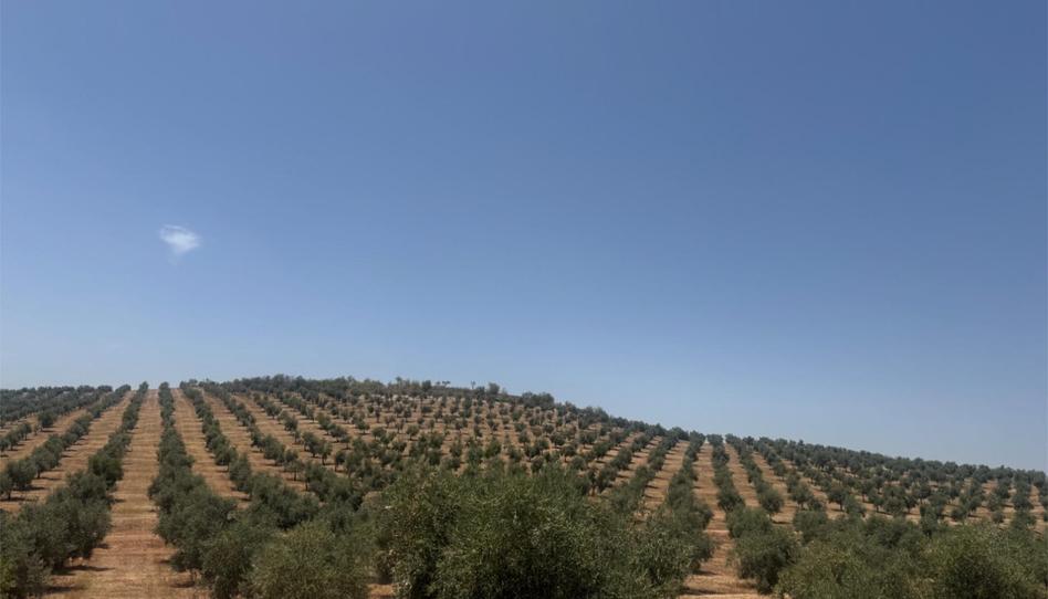 Foto 1 de No Urbanitzable en venda a Callejón de las Eras, 2, Cacín, Granada
