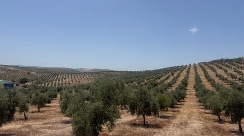 Foto 2 de No Urbanitzable en venda a Callejón de las Eras, 2, Cacín, Granada