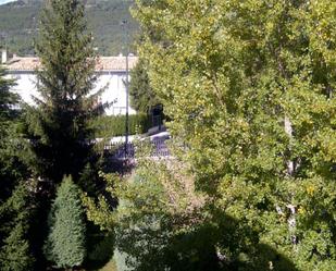 Garden of Flat for sale in Jaca  with Heating, Private garden and Parquet flooring