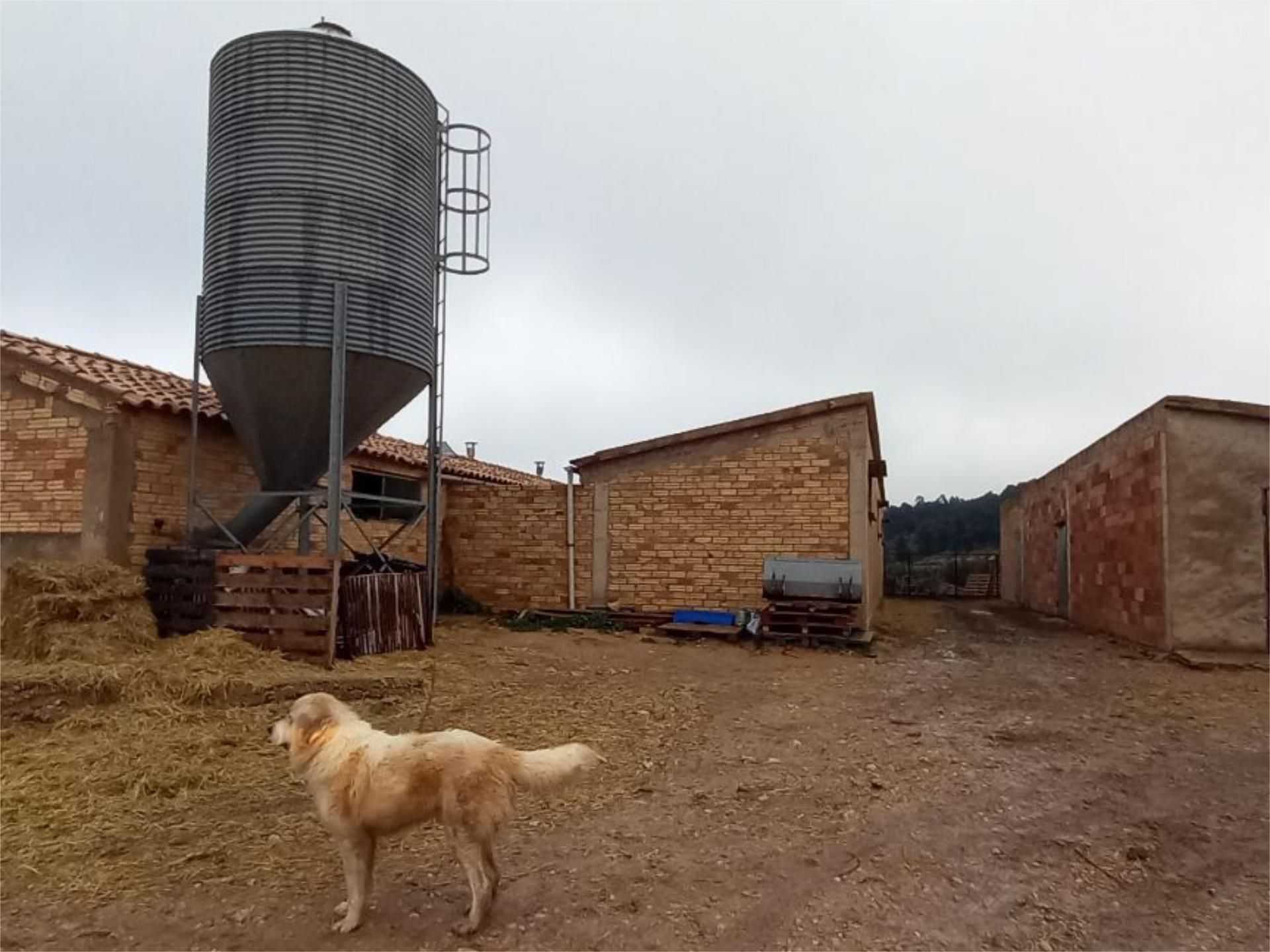 Vista exterior de Planta baixa en venda en Horta de Sant Joan