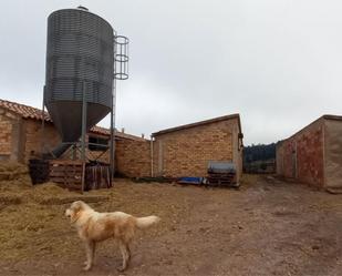 Exterior view of Planta baja for sale in Horta de Sant Joan