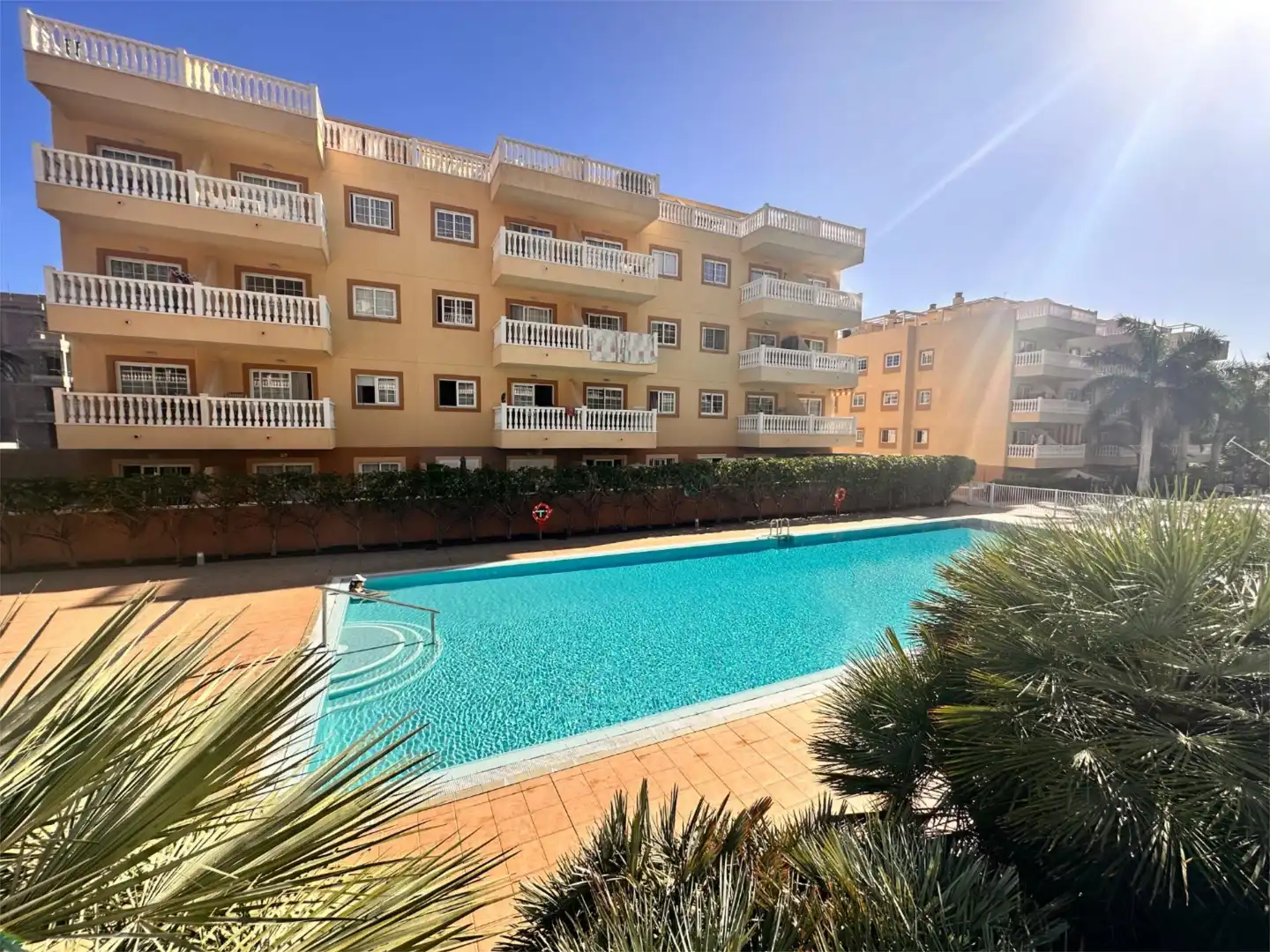 Apartments for rent in Calle Jilguero, 14, Palm - Mar Exterior view of Apartments for rent in Arona with Terrace and Swimming Pool