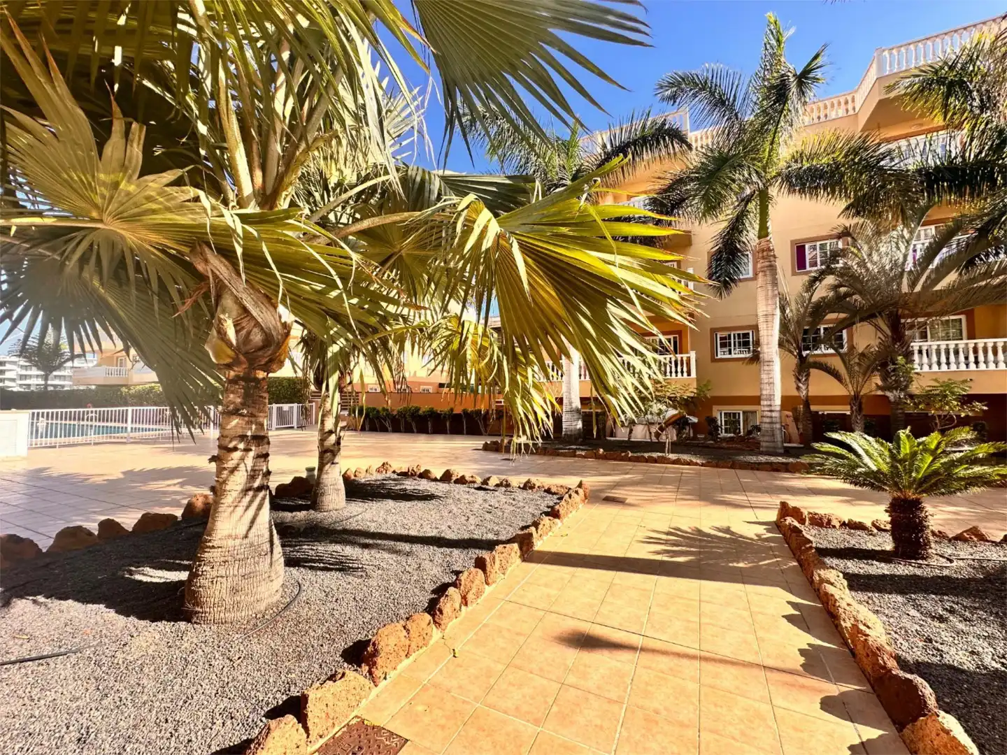 Apartments for rent in Calle Jilguero, 14, Palm - Mar Exterior view of Apartments for rent in Arona with Terrace and Swimming Pool