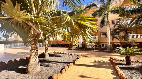 Foto 3 de Apartamento de alquiler en Calle Jilguero, 14, Palm - Mar, Santa Cruz de Tenerife
