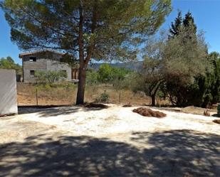 Garden of House or chalet for sale in Vilafamés  with Terrace