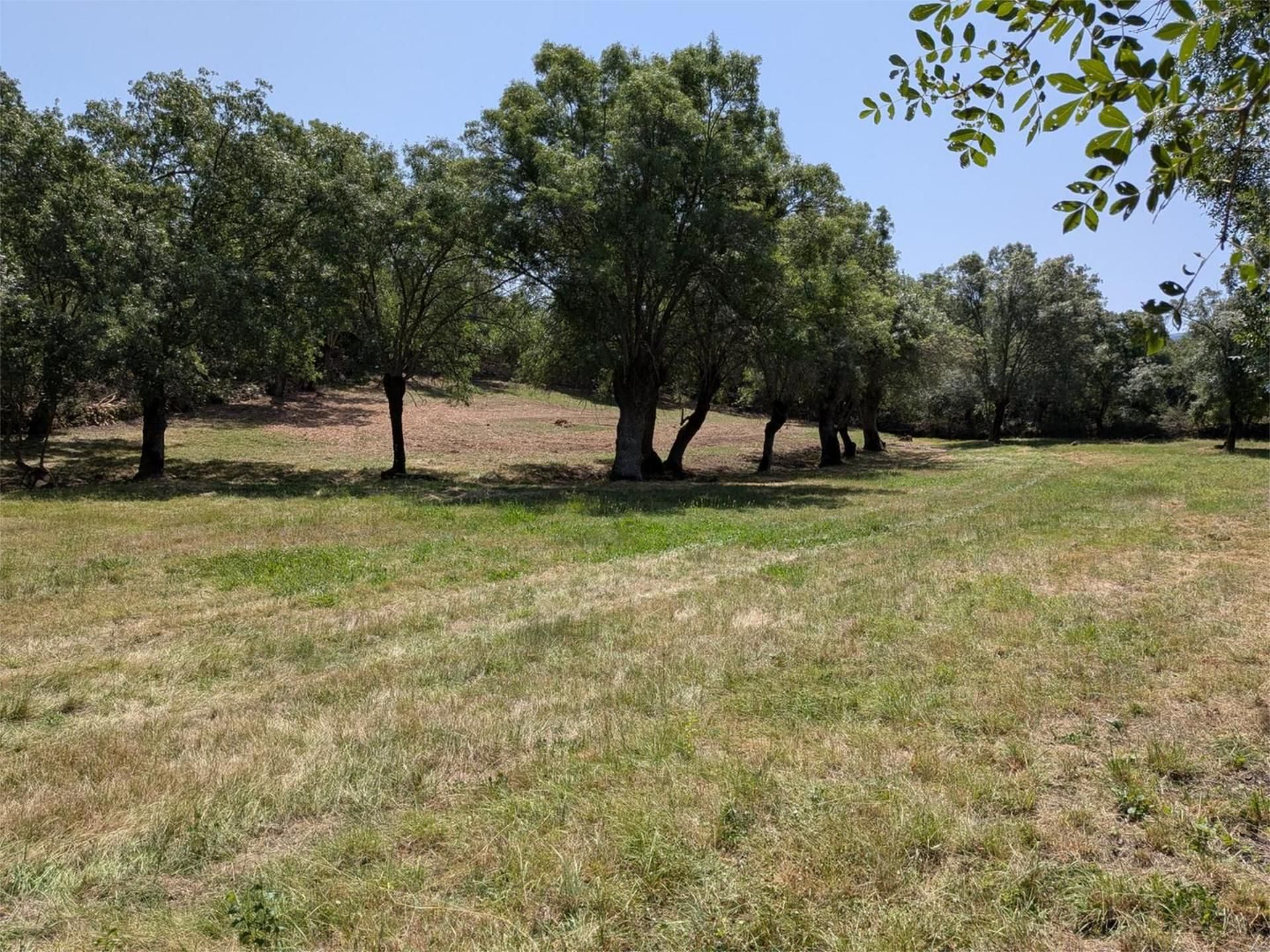 Non-constructible Land for sale in Santiuste de Pedraza