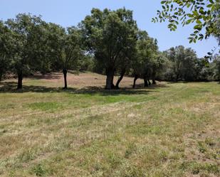No Urbanitzable en venda en Santiuste de Pedraza