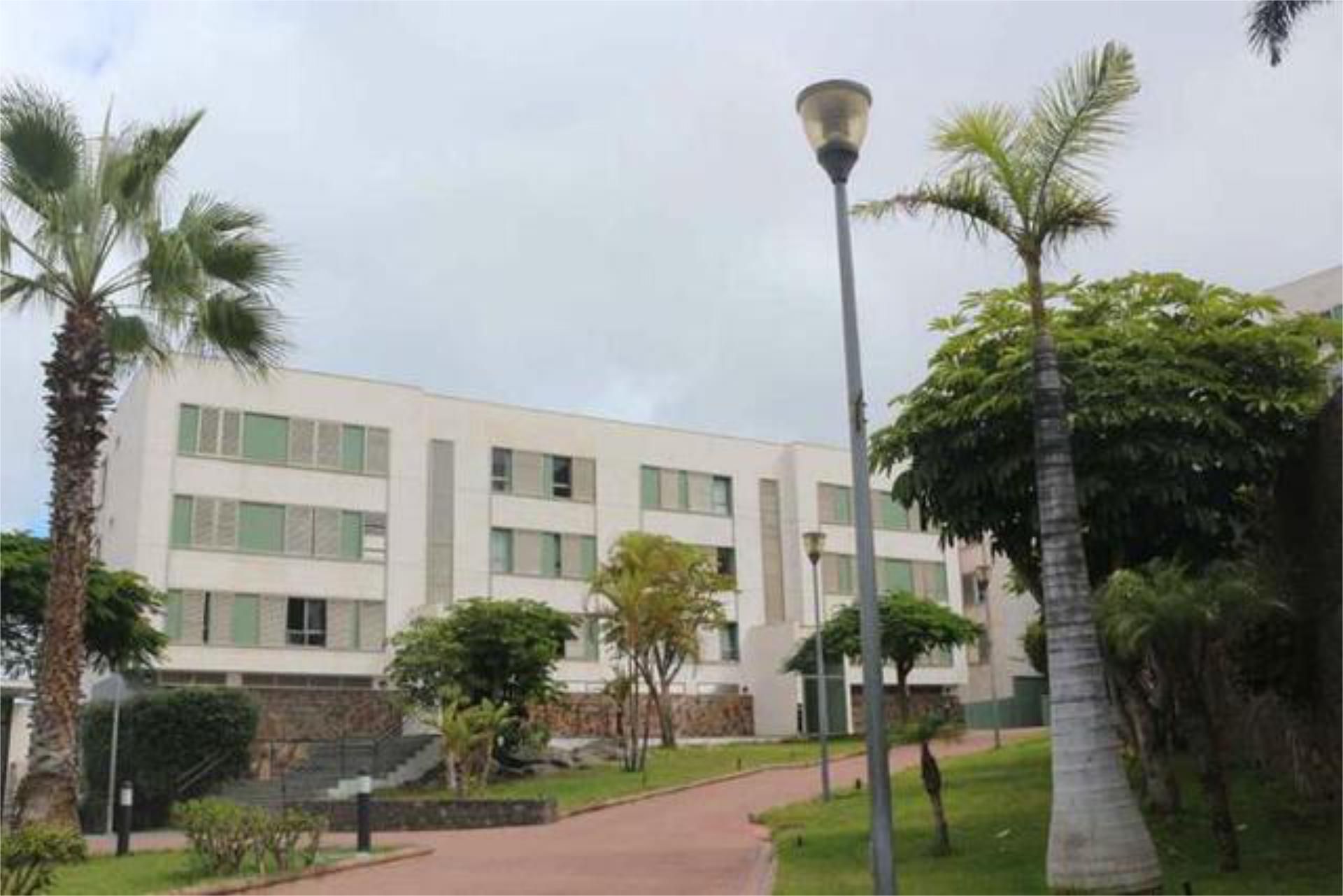 Vista exterior de Pis de lloguer en Las Palmas de Gran Canaria amb Jardí privat, Piscina i Moblat