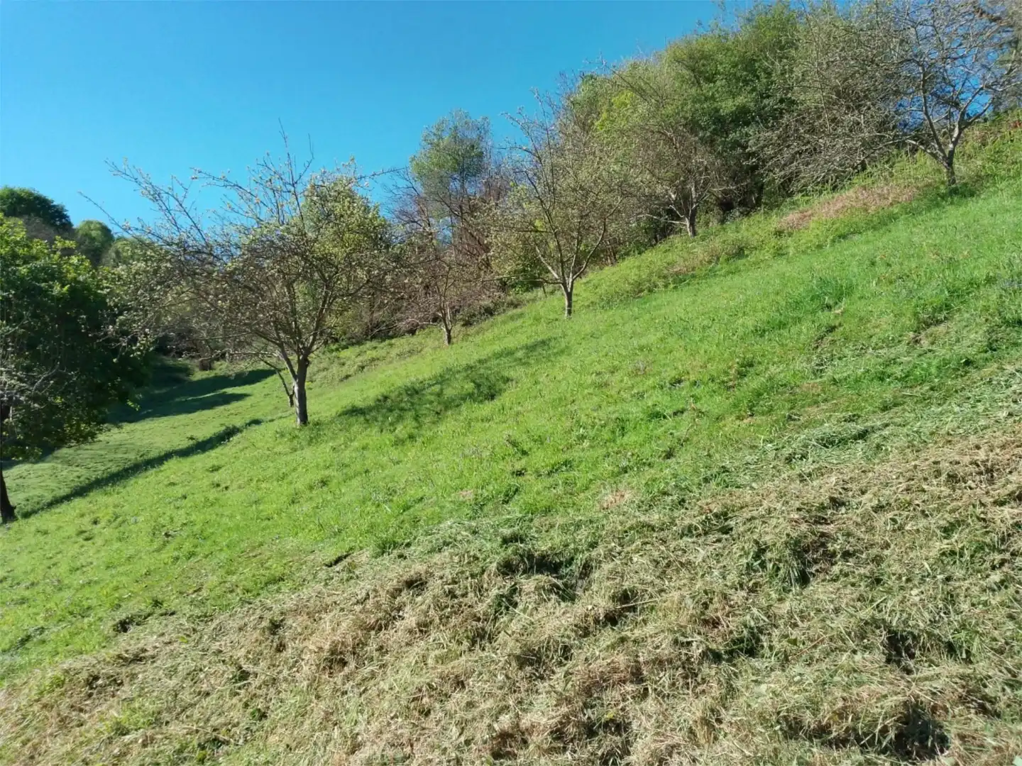 Nicht bebaubares Gelände zum Verkauf in Cuesta Otariello, 13, San Martín del Rey Aurelio Nicht bebaubares Gelände zum Verkauf in San Martín del Rey Aurelio