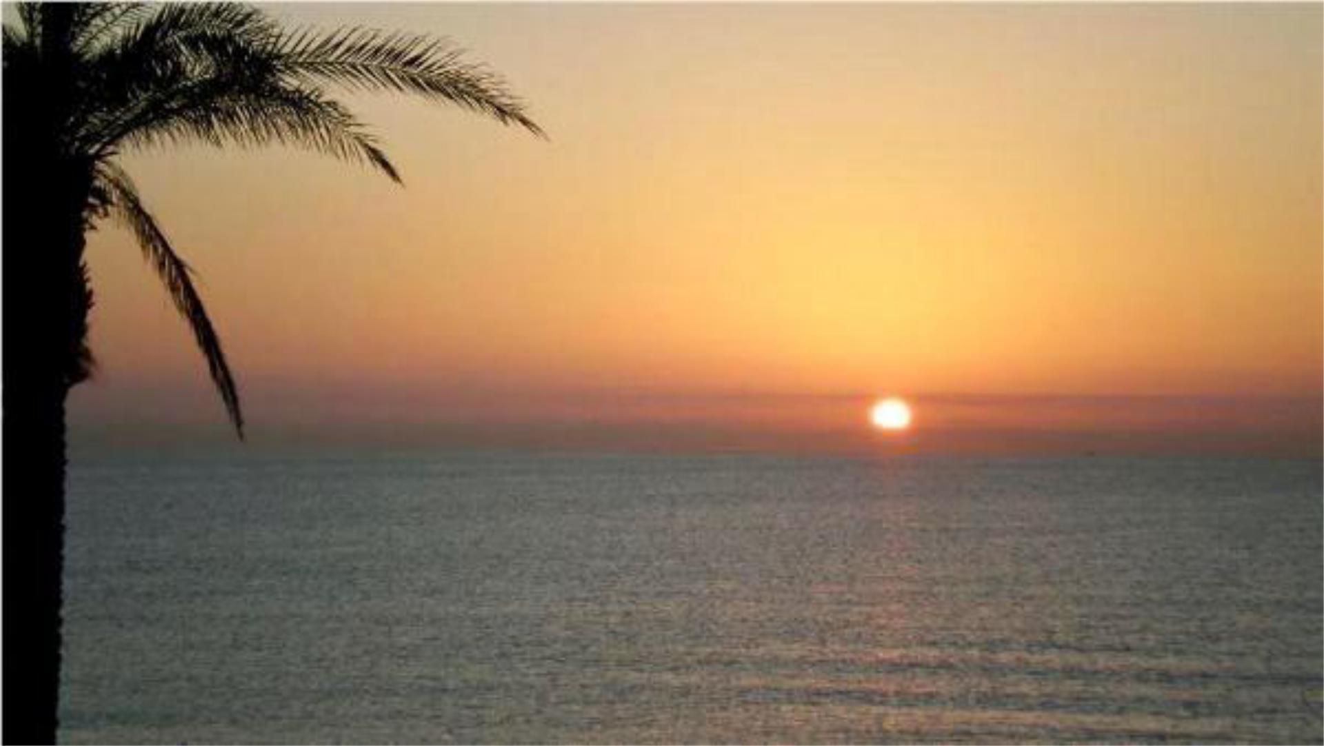 Apartment to rent in Playa Muchavista