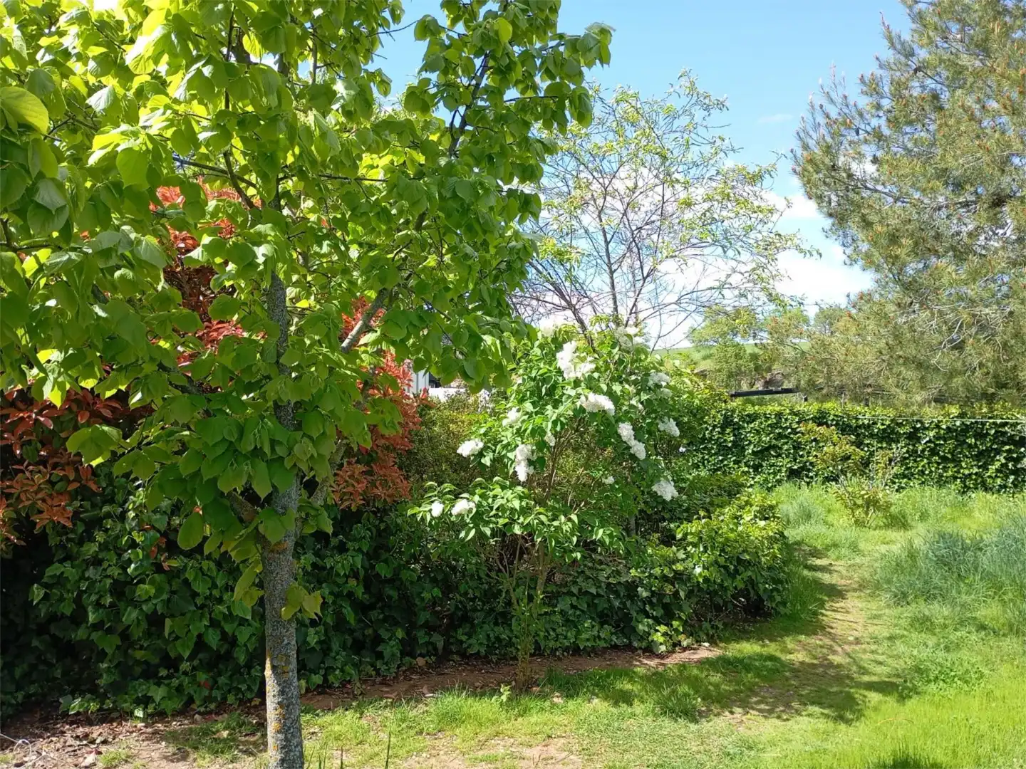 Garten von Wohnung zum Verkauf in Bujalaro