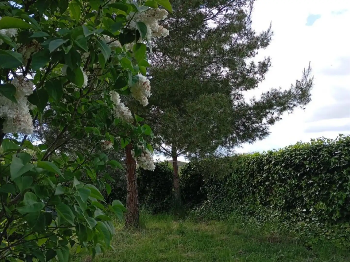 Wohnung zum Verkauf in Bujalaro