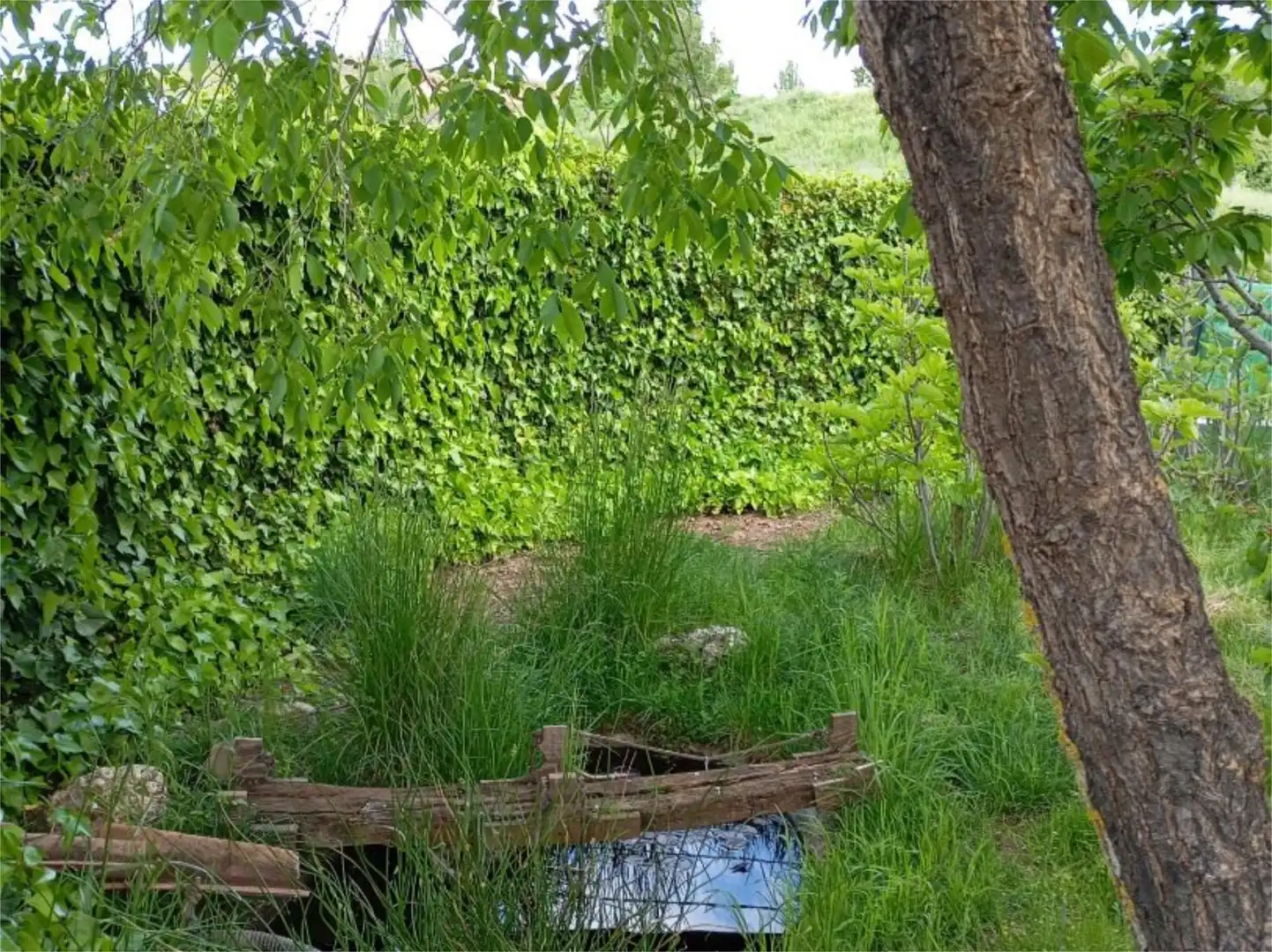 Garten von Wohnung zum Verkauf in Bujalaro