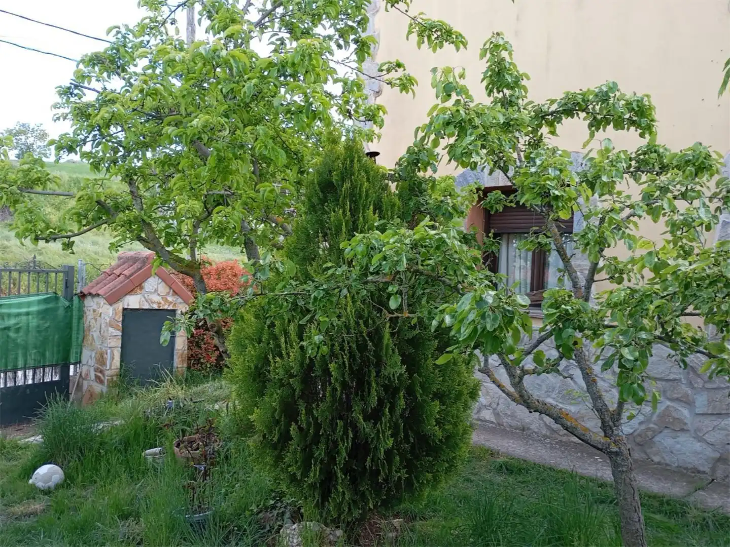 Garten von Wohnung zum Verkauf in Bujalaro