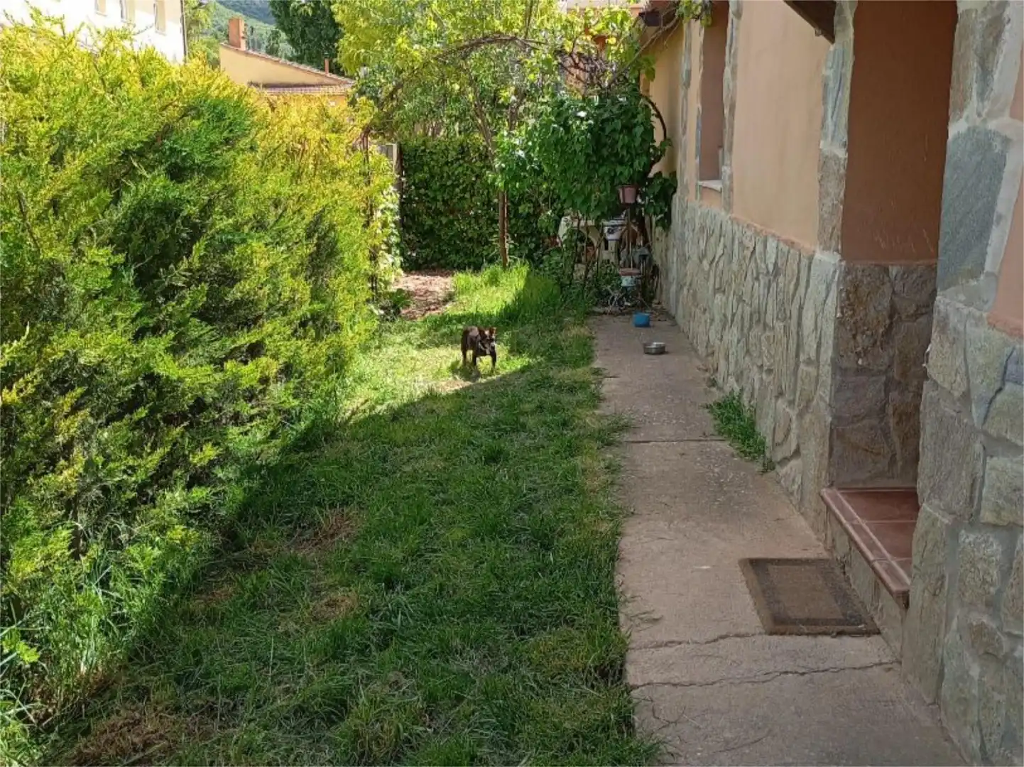 Garten von Wohnung zum Verkauf in Bujalaro
