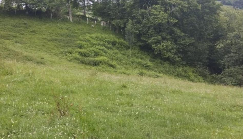 Non-constructible Land for sale in Lugar Torazo, 34, Cabranes, Asturias - image 1 Photo 1 of Non-constructible Land for sale in Lugar Torazo, 34, Cabranes, Asturias