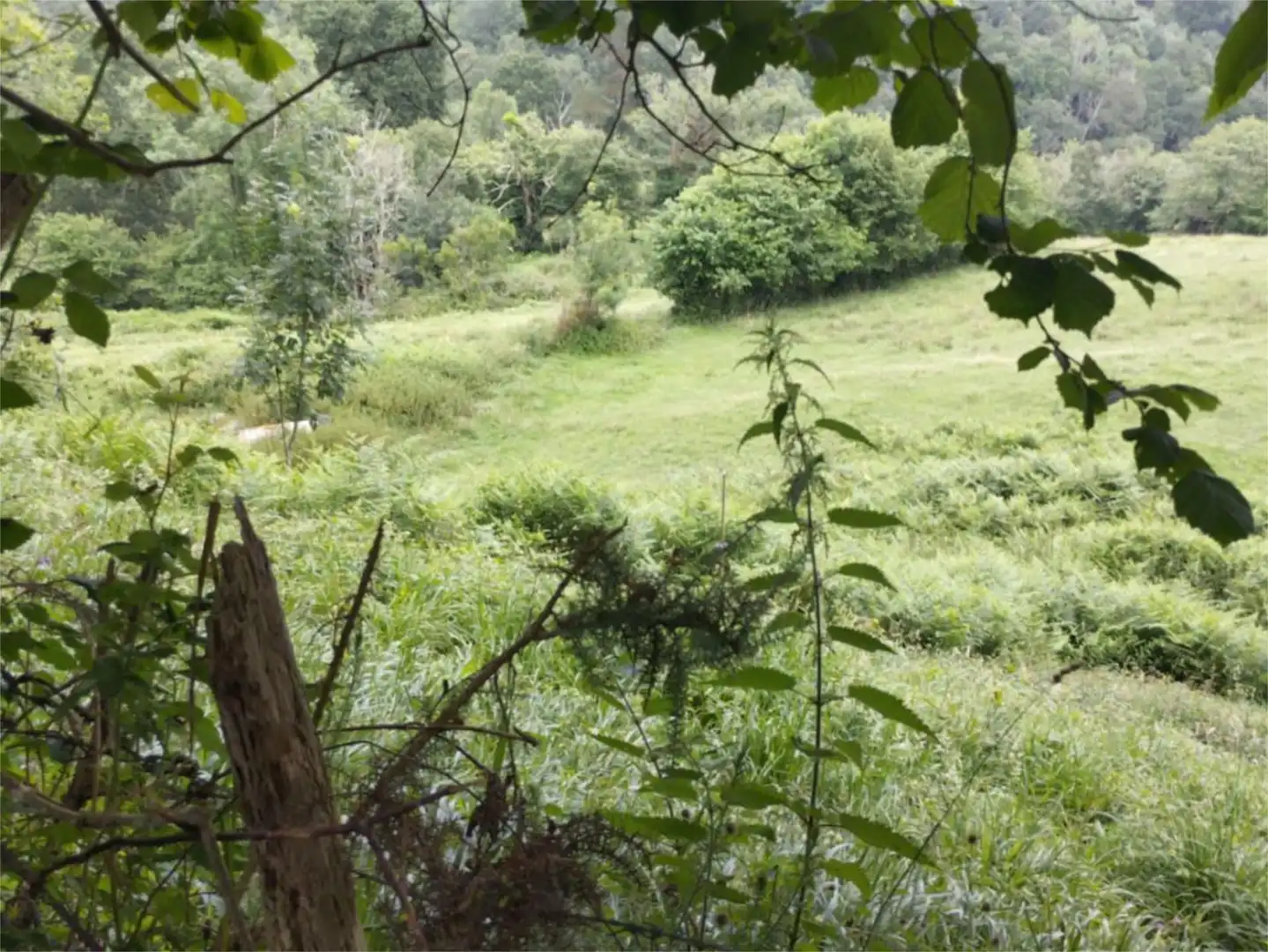 Non-constructible Land for sale in Lugar Torazo, 34, Cabranes Non-constructible Land for sale in Cabranes