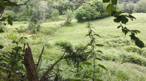 Non-constructible Land for sale in Lugar Torazo, 34, Cabranes, Asturias - image 2 Photo 2 of Non-constructible Land for sale in Lugar Torazo, 34, Cabranes, Asturias
