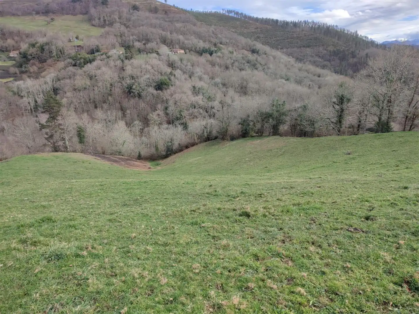 Non-constructible Land for sale in Lugar Torazo, 34, Cabranes Non-constructible Land for sale in Cabranes