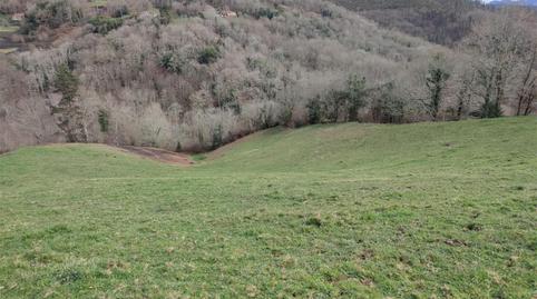 Non-constructible Land for sale in Lugar Torazo, 34, Cabranes, Asturias - image 3 Photo 3 of Non-constructible Land for sale in Lugar Torazo, 34, Cabranes, Asturias