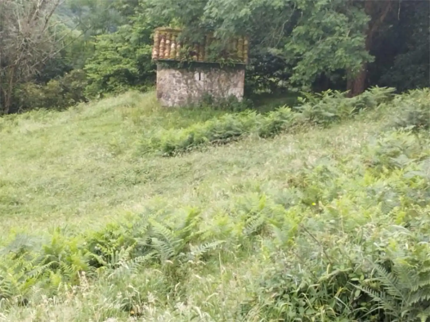 Non-constructible Land for sale in Lugar Torazo, 34, Cabranes Non-constructible Land for sale in Cabranes