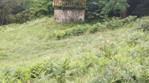 Non-constructible Land for sale in Lugar Torazo, 34, Cabranes, Asturias - image 4 Photo 4 of Non-constructible Land for sale in Lugar Torazo, 34, Cabranes, Asturias