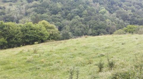 Non-constructible Land for sale in Lugar Torazo, 34, Cabranes, Asturias - image 5 Photo 5 of Non-constructible Land for sale in Lugar Torazo, 34, Cabranes, Asturias
